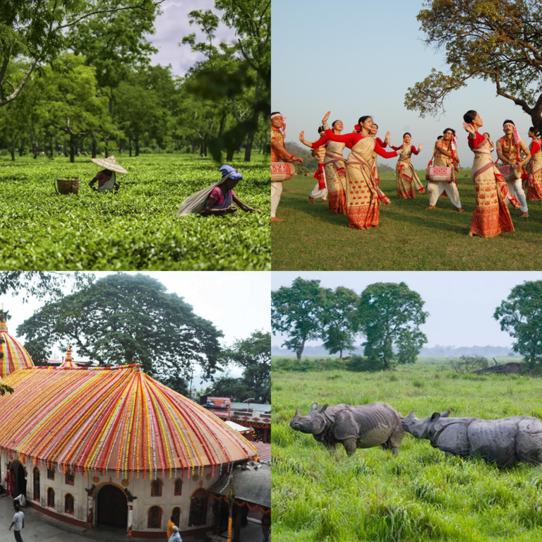 Assam Tourism: A Guide to the Jewel of the Northeast