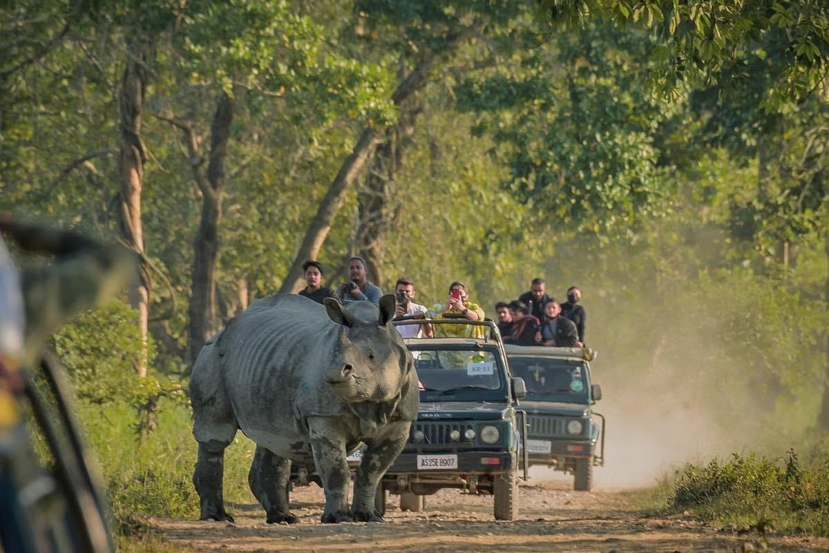 smarto cab for KAZIRANGA ITINERARY FOR 2 DAYS & 1 NIGHT